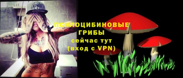 прущие крисы Бородино