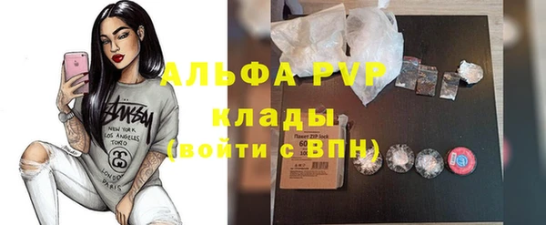 прущие крисы Бородино