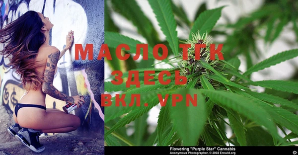 прущие крисы Бородино