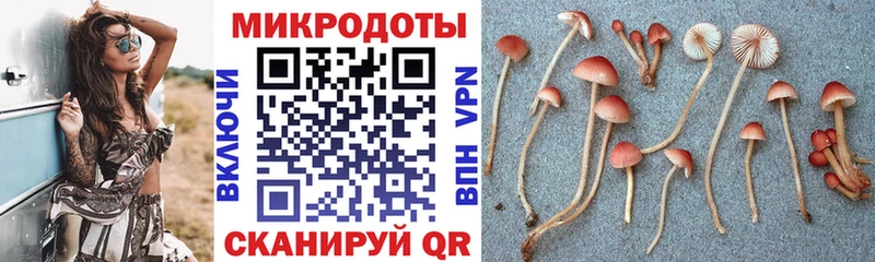 Галлюциногенные грибы Cubensis Купить Белоусово